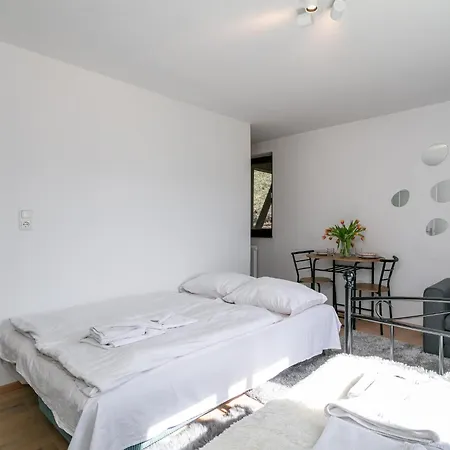 Apartman Tiny Kitz Studio